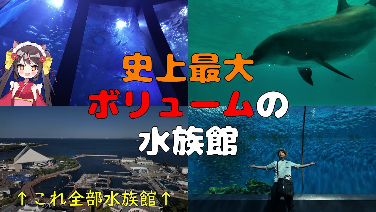【4K】ここ周るだけで一日が終わっちゃう！？イワシの大群！イルカたちに会いに行こう！八景島シーパラダイスをたっぷりみせちゃうよ！【神奈川編】