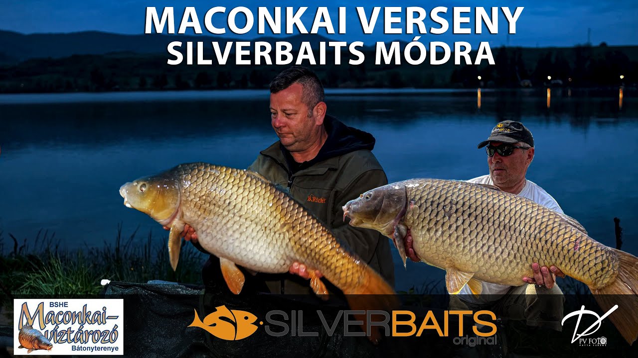 Maconkai Bojlis verseny Silverbaits módra 2022.05.