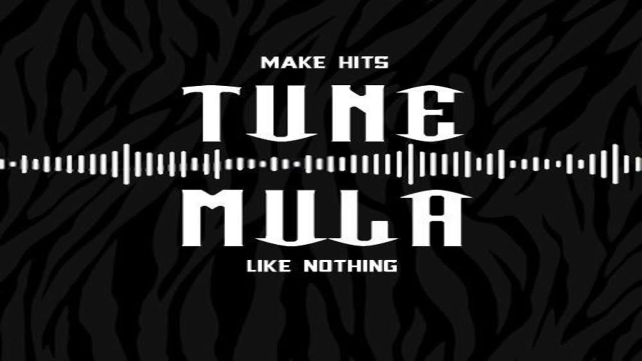 K Mula Beat$ - Get Hot  (2014)