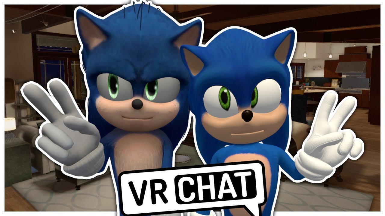 Movie Sonic Meets Another Movie Sonic In VR CHAT?!
