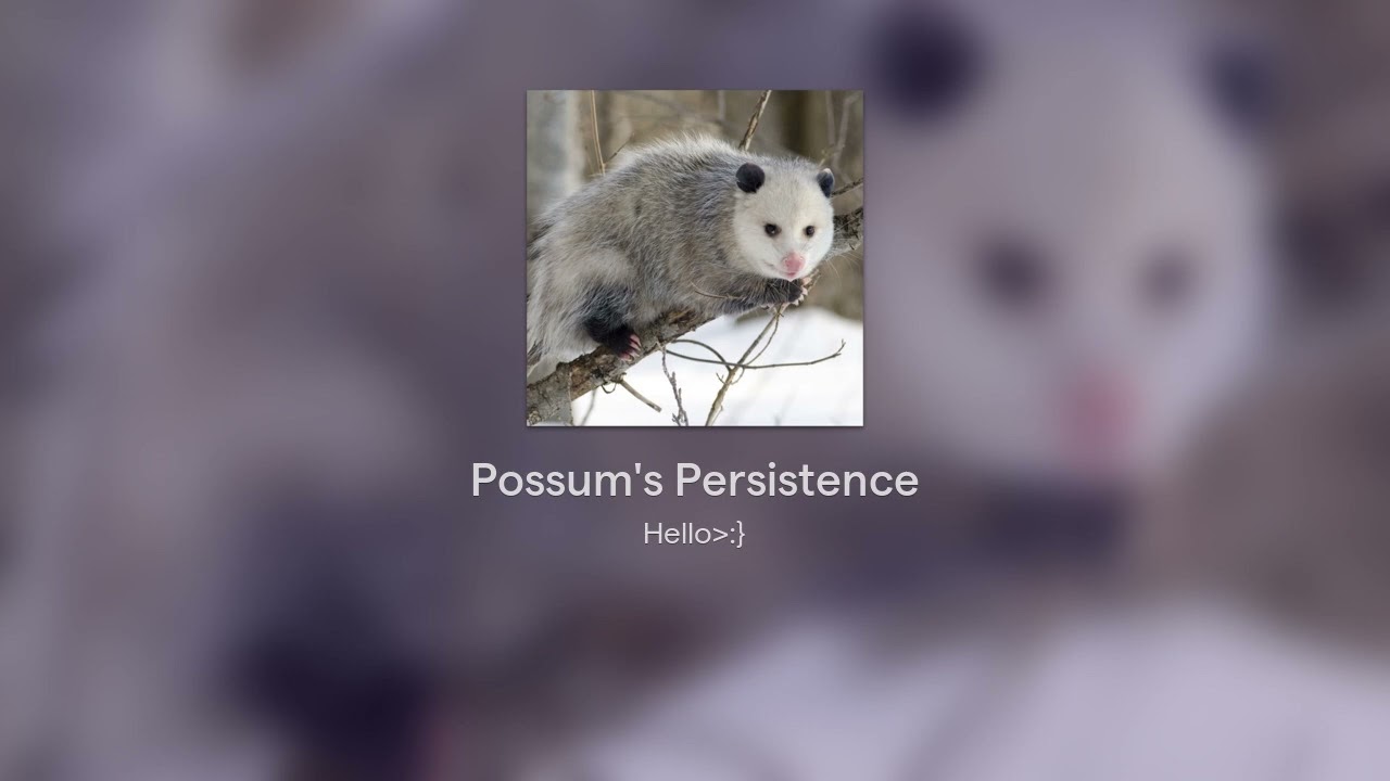 Possum's Persistence