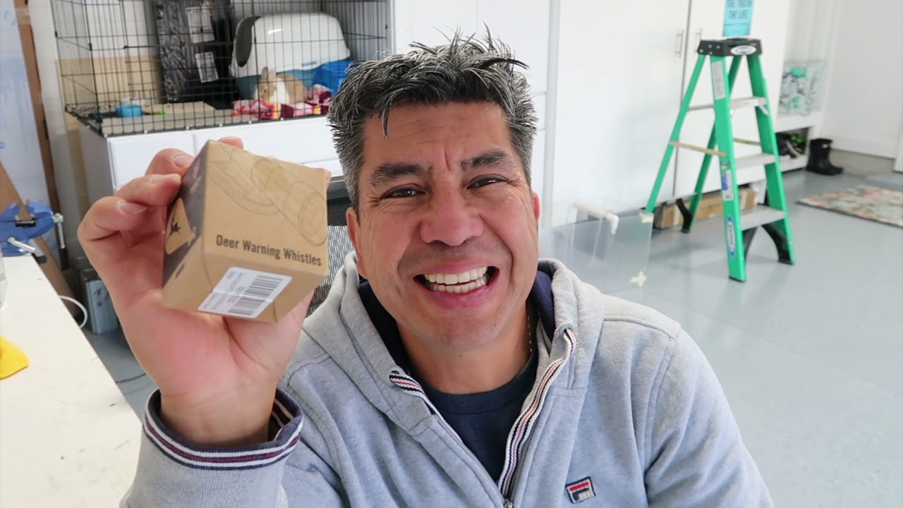 un silbato para ciervos