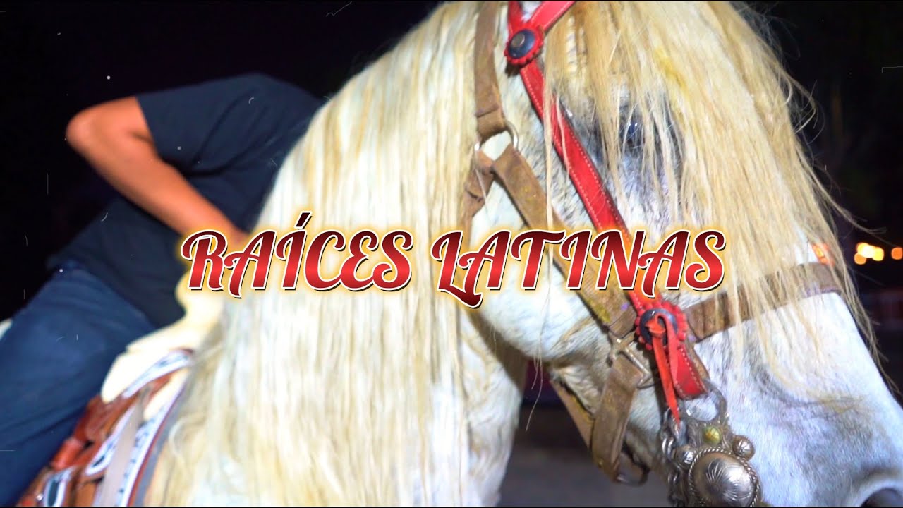 RA&Iacute;CES LATINAS - MIGGY! (OFFICIAL MUSIC VIDEO)