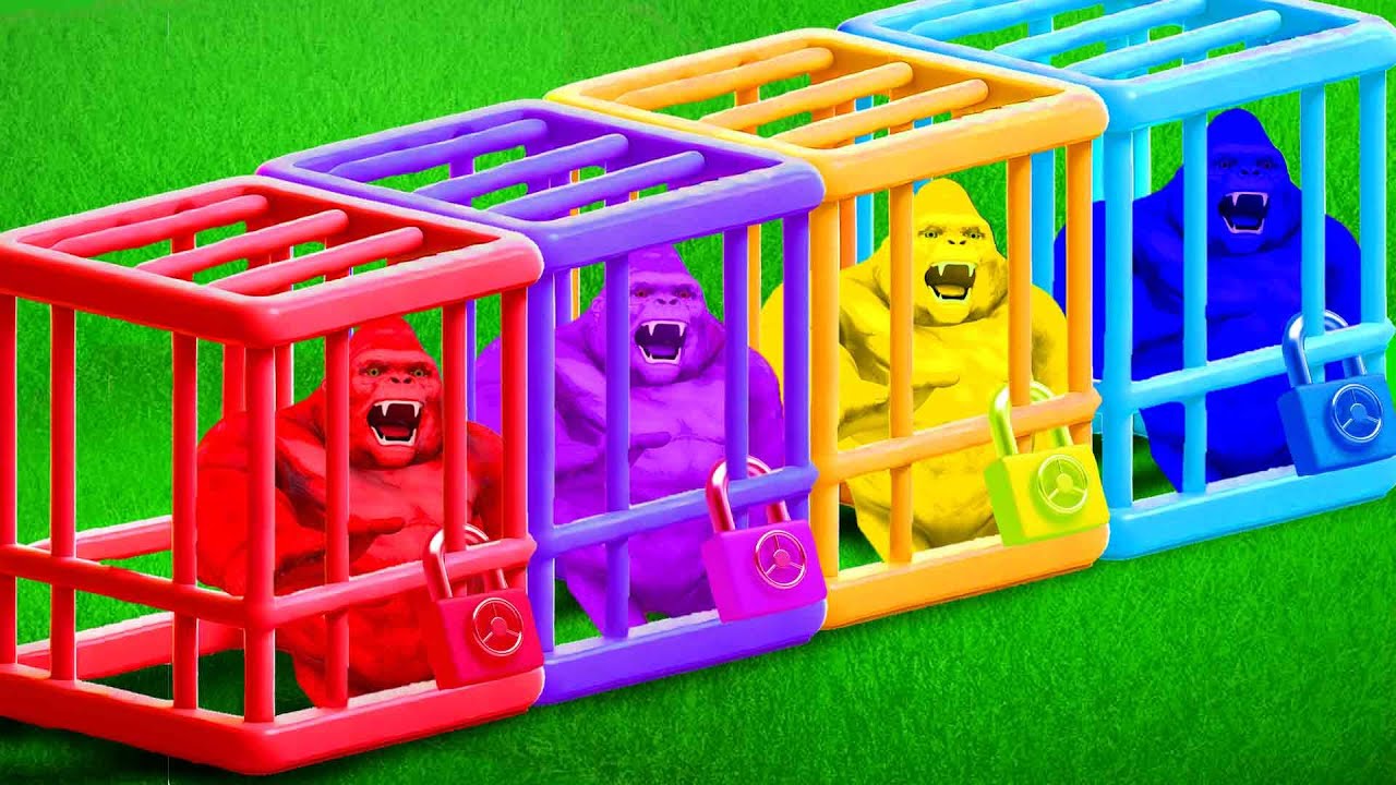 Guess The Right Key ESCAPE ROOM CHALLENGE Animals Cage Game 🦍 I Gorilla Color Show