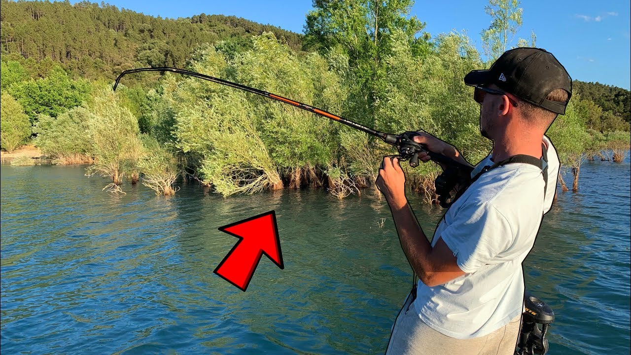 Je ferre ce POISSON qui peut changer la COMPETITION de pêche !