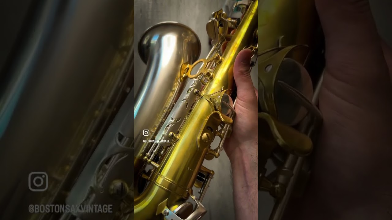 Rampone Two Voices Alto Overview 