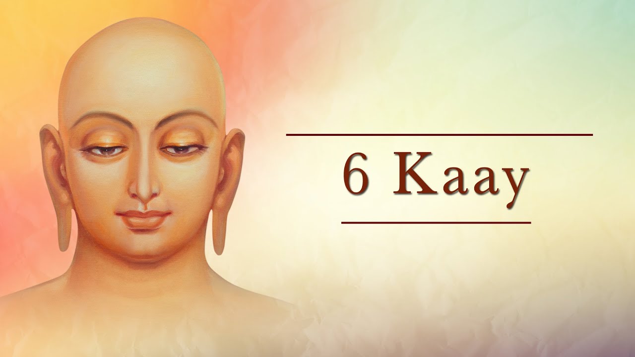 Day 5 | Comprehensive Ahimsa - Accept the existence of every life form | Param Gurudev Namramuni MS