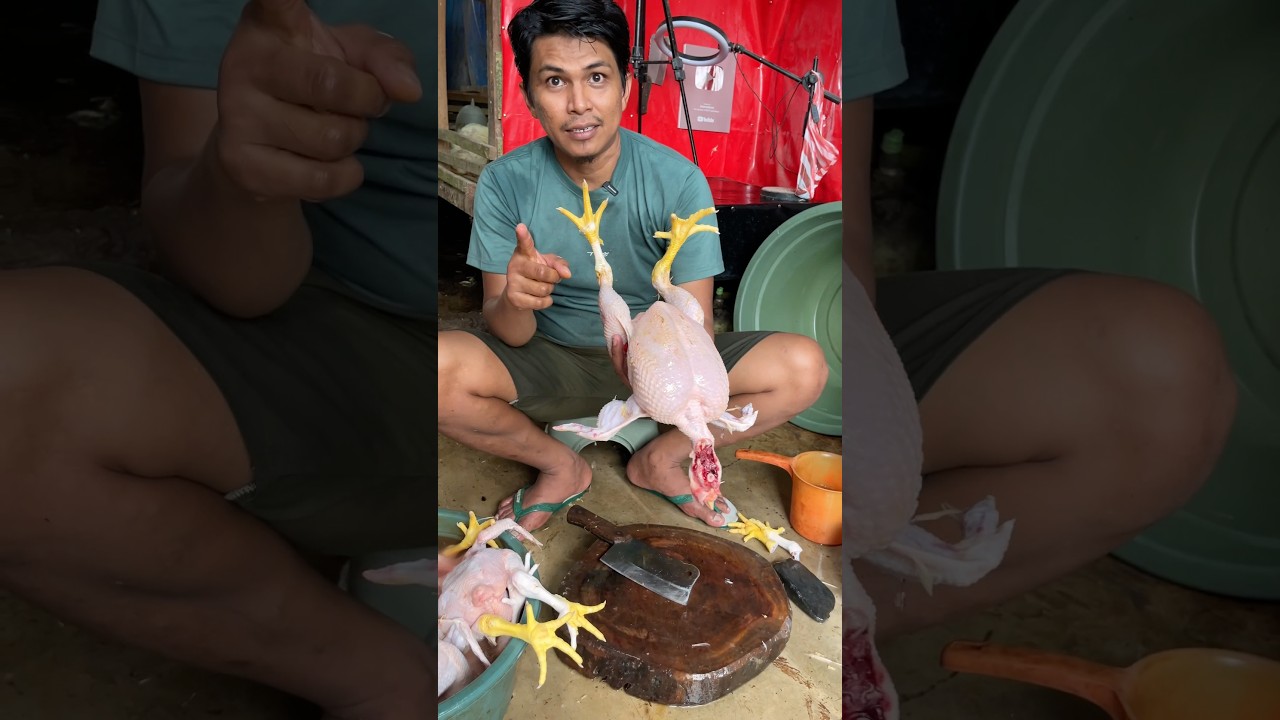Skill potong daging ayam 15 bagian #cuttingskills #ayamsegar #chicken #chickencutting #short