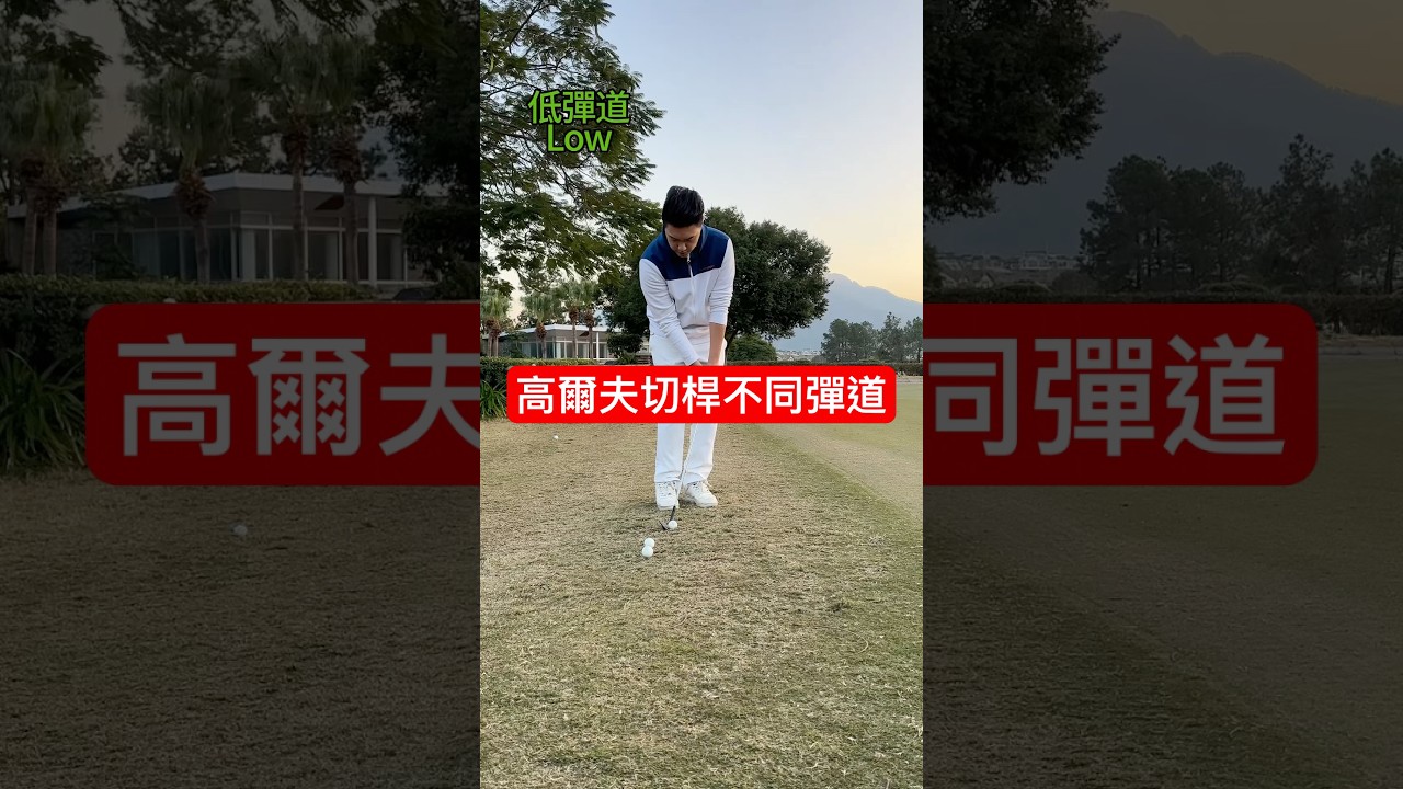 切桿技巧 高中低彈道切法 #高爾夫教學 #高爾夫教練 #高爾夫切桿 #高爾夫短桿