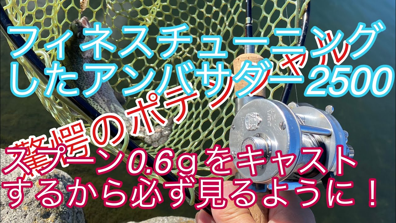 アブアンバサダー2500cのポテンシャルが凄すぎ(☆∀☆) #エリアトラウト #管理釣り場 #アンバサダー