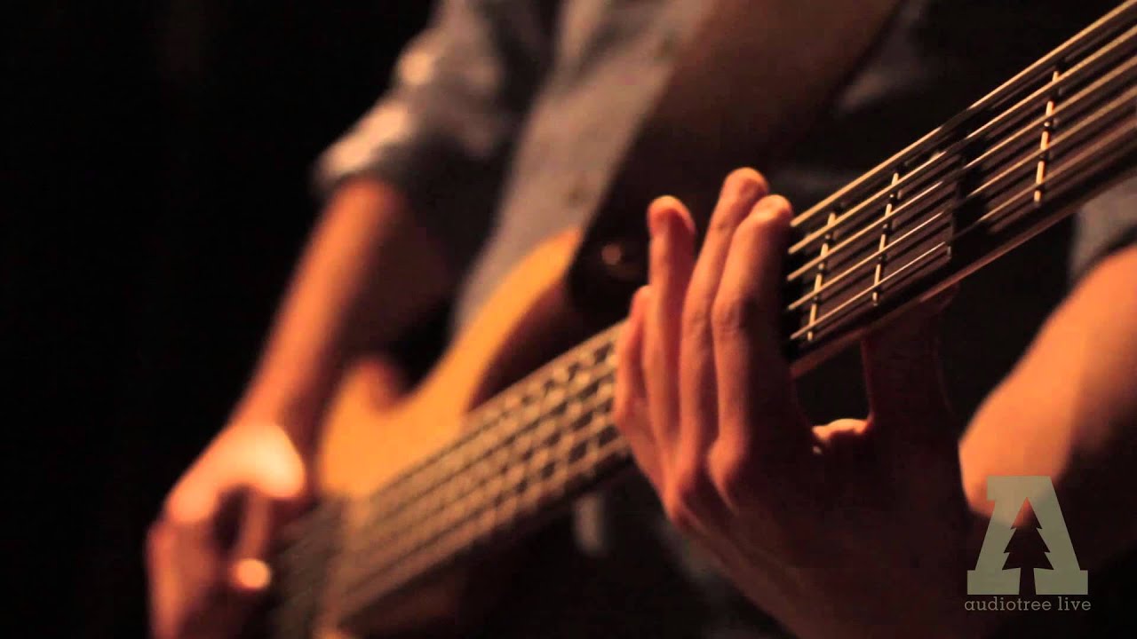 Passafire - Animal (Mike Snow Cover) - Audiotree Live