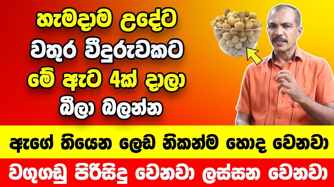 වතුර වීදුරුවකට මේ ඇට 4ක් දාලා බොන්න | ඇගේ තියෙන ලෙඩ නිකන්ම හොද වෙලා යනවා | වගුගඩු පිරිසිදු වෙනවා !!