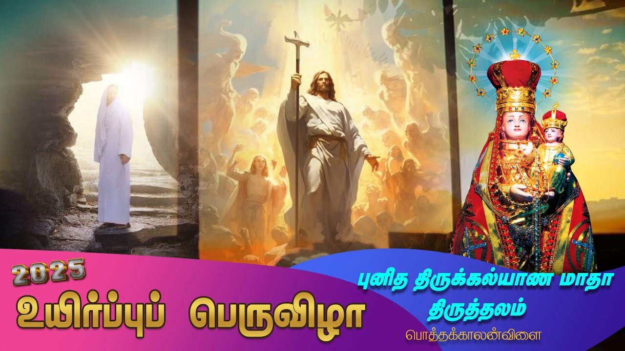 LIVE | Easter Sunday | Mass | 2025 | Thirukalyana Matha Shrine | Pothakalanvilai