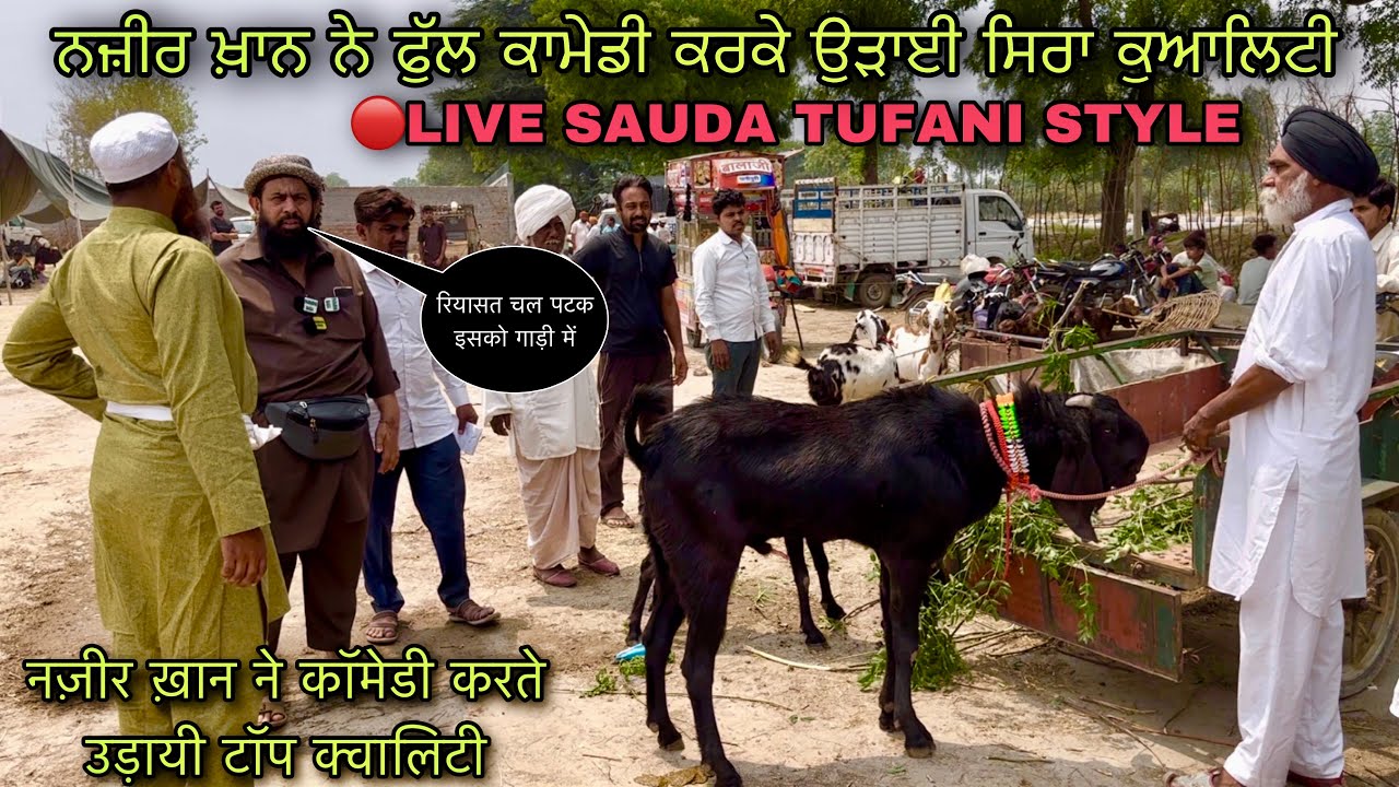 नज़ीर ख़ान ने कॉमेडी करते उड़ायी टॉप क्वालिटी #live_sauda lehrabega mandi goat farming @farming baba