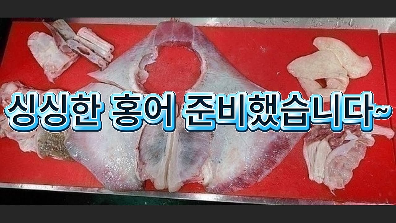 (26.02.03화) 목포 홍어 판매 #홍어 #홍어회 #목포판장 #갈치 #조기