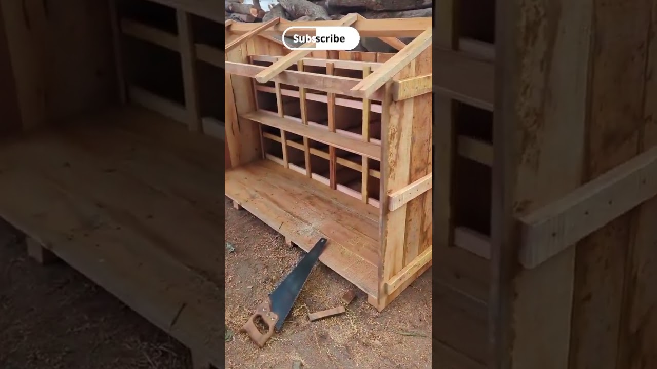 #pigeon #kabutar #mr_pigeon2004 #newhome #piggeonhome #bird #superpigeon #tophomeguide #bird 🕊️🕊️❤️