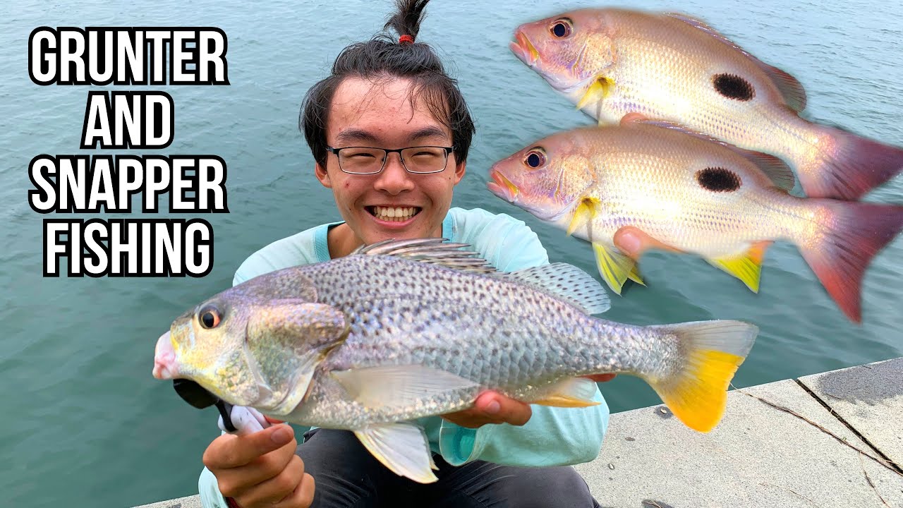 Fishing at Punggol Waterfront (Grunter/Guhuud, Snappers and more!) | Fishing in Singapore