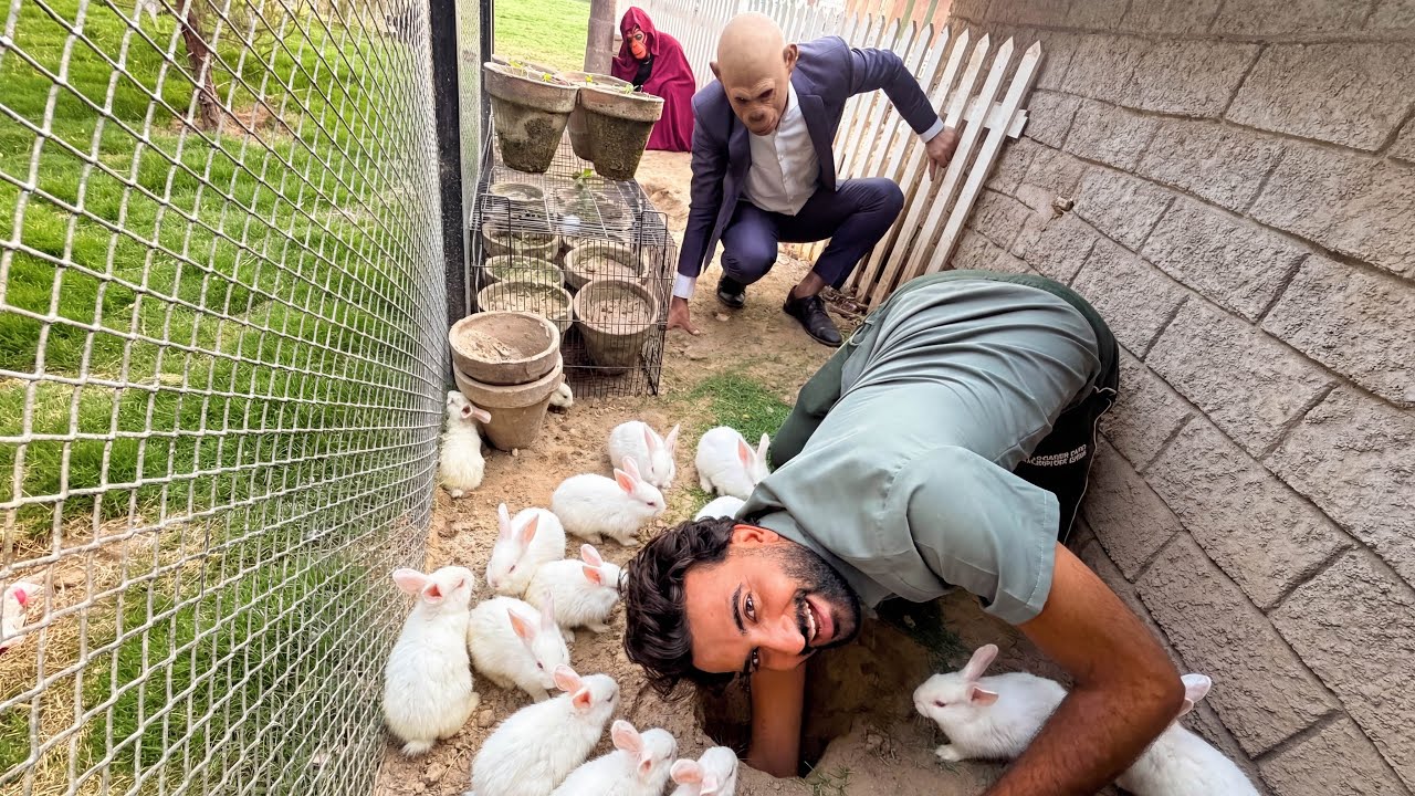 Achank Se Rabbits k Bachy Nikl Aiy😍Ye Kahan Se Agaiy?