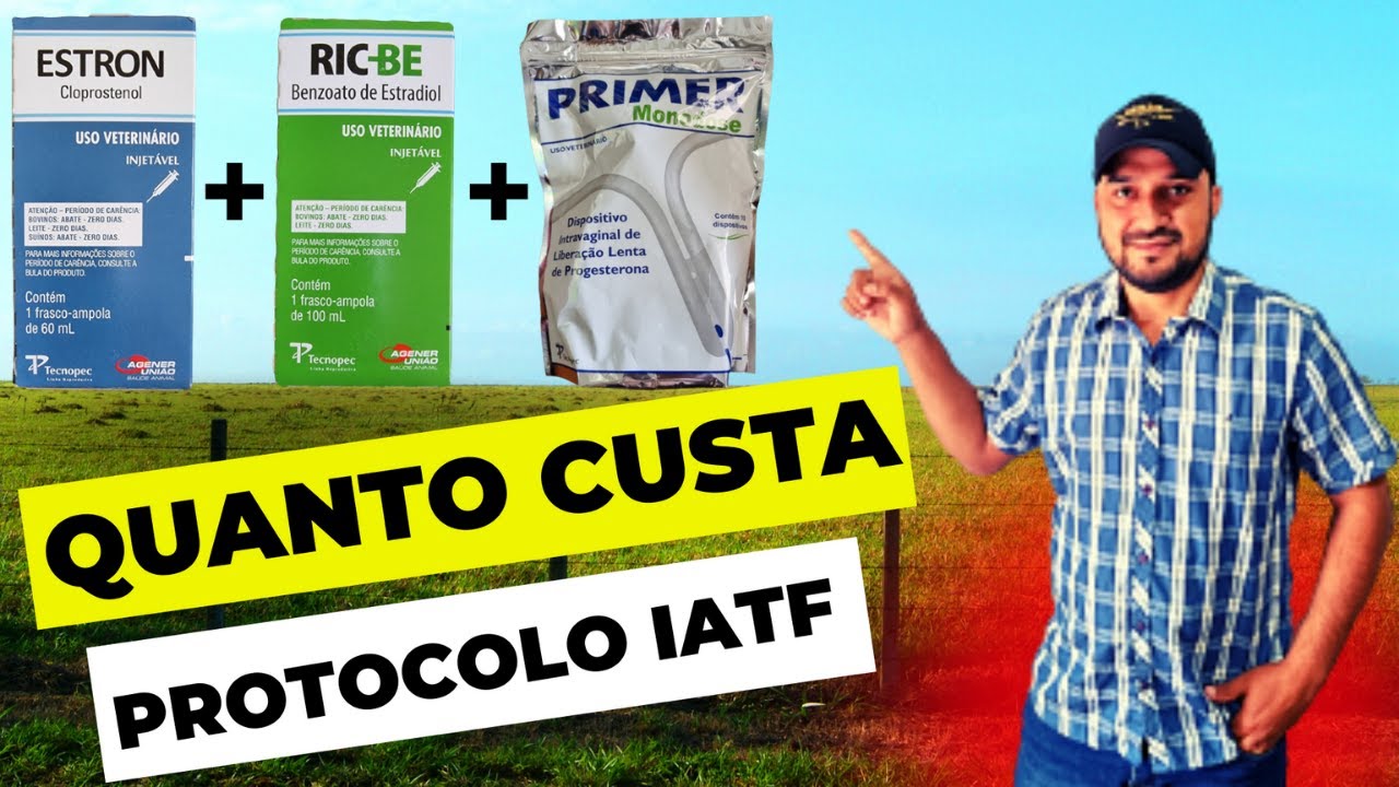 Protocolo de IATF - Inseminação Artificial em tempo fixo