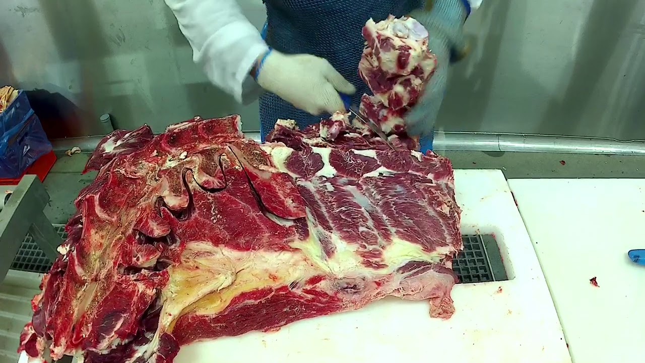 Beef Visor System. Обвалка Говядины шея. Beef Chuck.