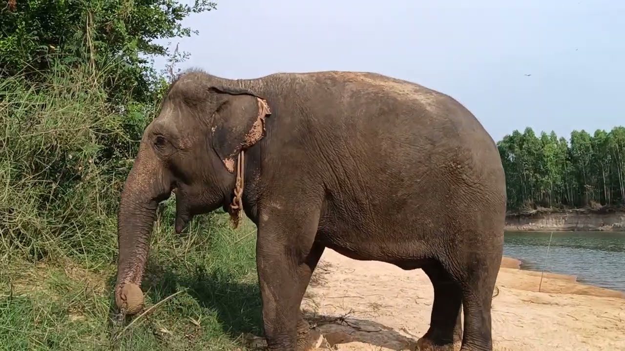 รับแจ้งข่าว แม่วาสนาหลุด
