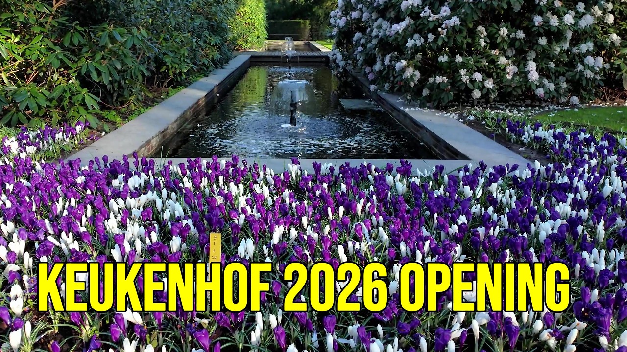 Exclusive Keukenhof 2026 Opening 🌷 Full 2-Hour Garden Walk