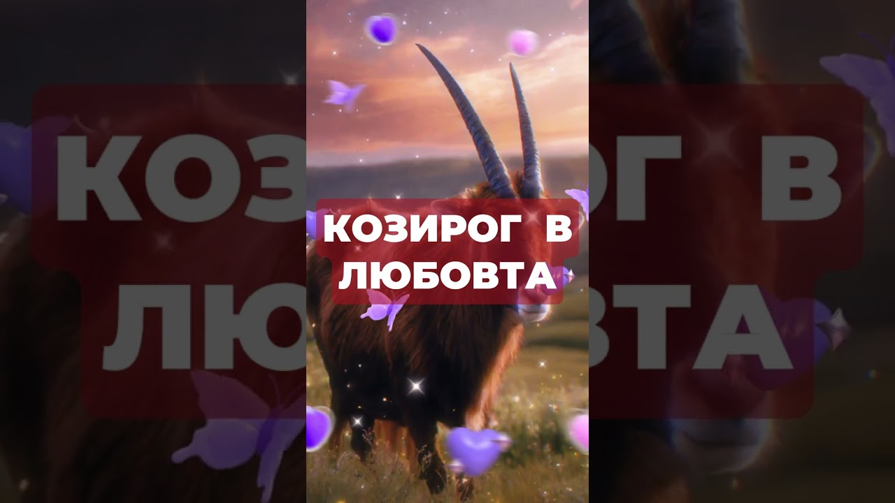 Накратко за Зодия Козирог