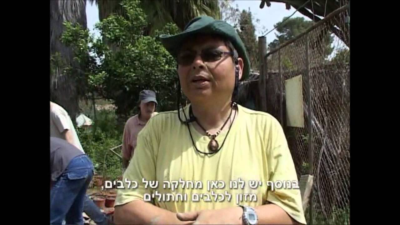 תלמים 2010
