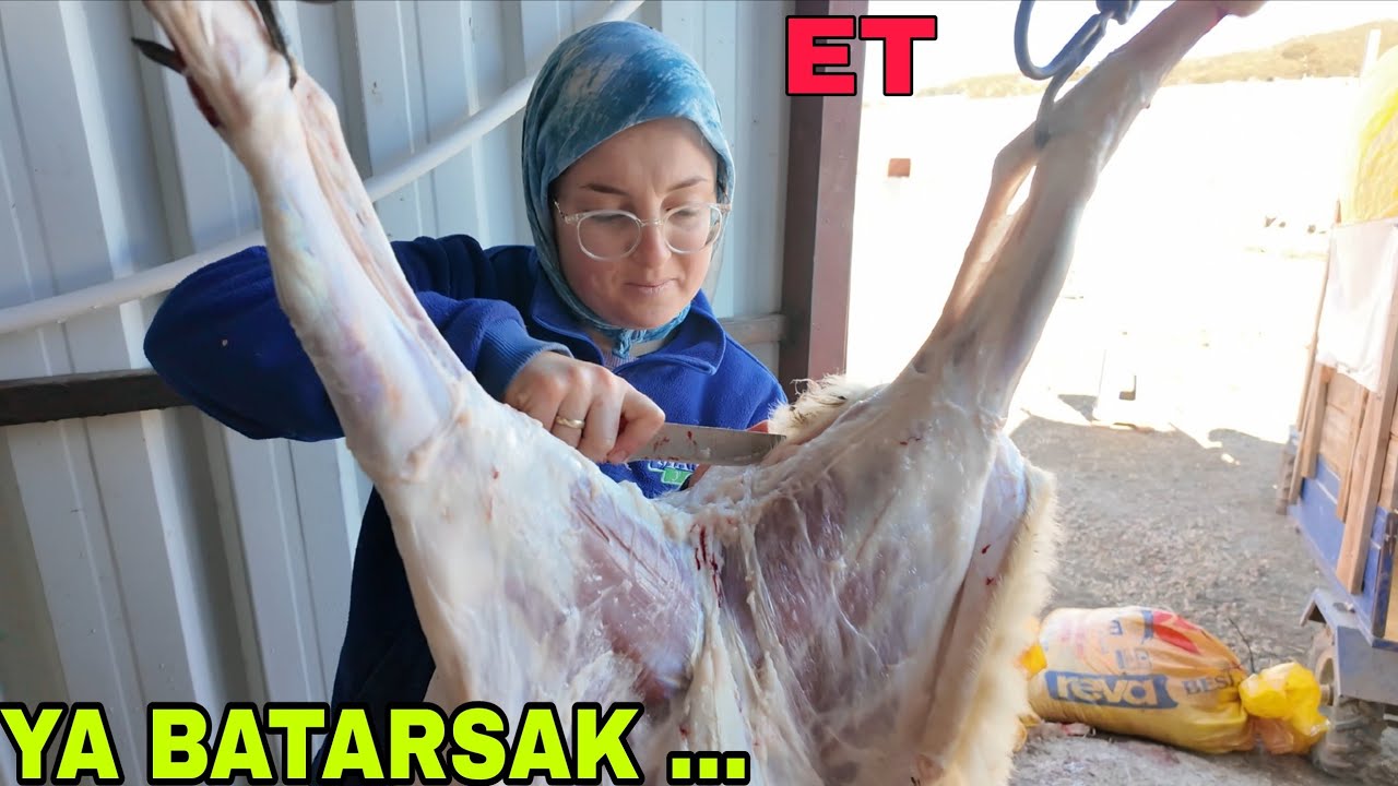 YA BATARSAK !! ADAK İŞİ.YULAF EKİMİNE AZ KALDI.EKİPMAN KIRILDI.80 KM SONRA İFTAR