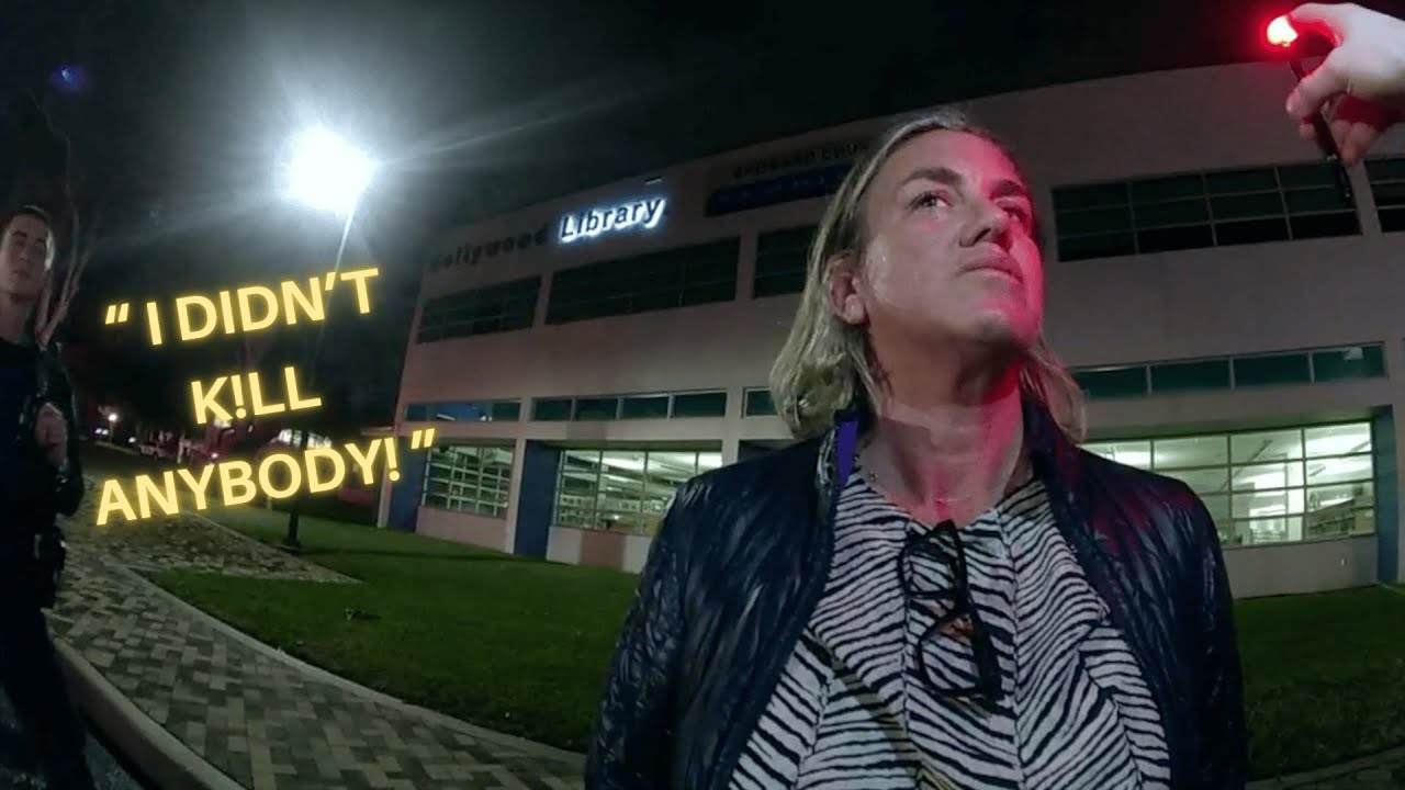 Слёзы и ложь Карен после столкновения с женщиной-полицейским на разделительной полосе | Disorderly