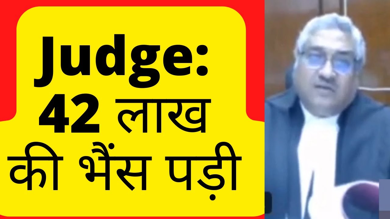 42 lakh Rs Buffalo Cost #law #legal #Advocate #LawChakra