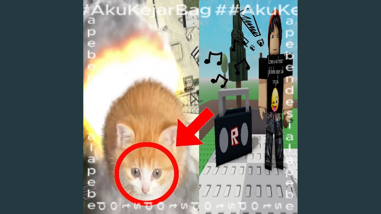 ##AkuChaseBag