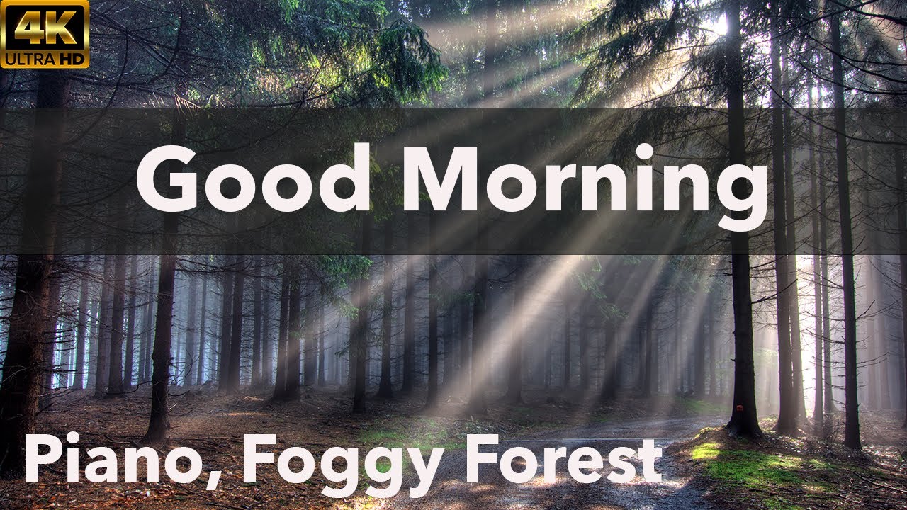 Uplifting piano music with beautiful foggy forest early in the morning. Perfect for a great start.