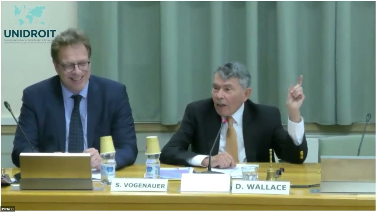 30 Years of UPICC. Past, Present and Future Relevance (UNIDROIT, 6-7 May 2024) - Panel 1