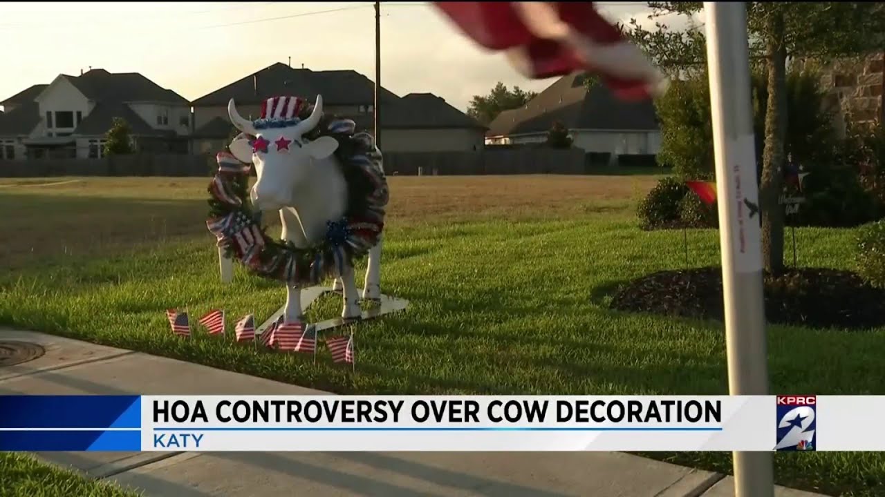 HOA controversy over cow decoration