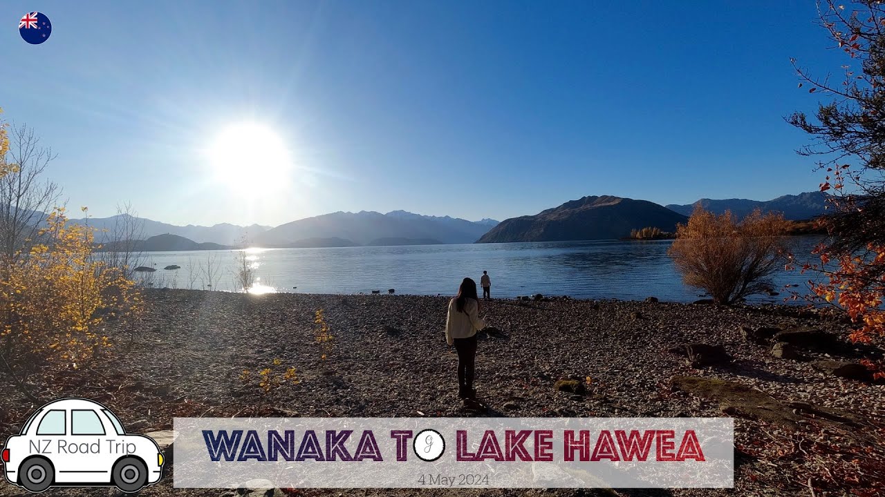 Wanaka Lavender Farm, Lake Hawea | New Zealand Road Trip 2024 #10