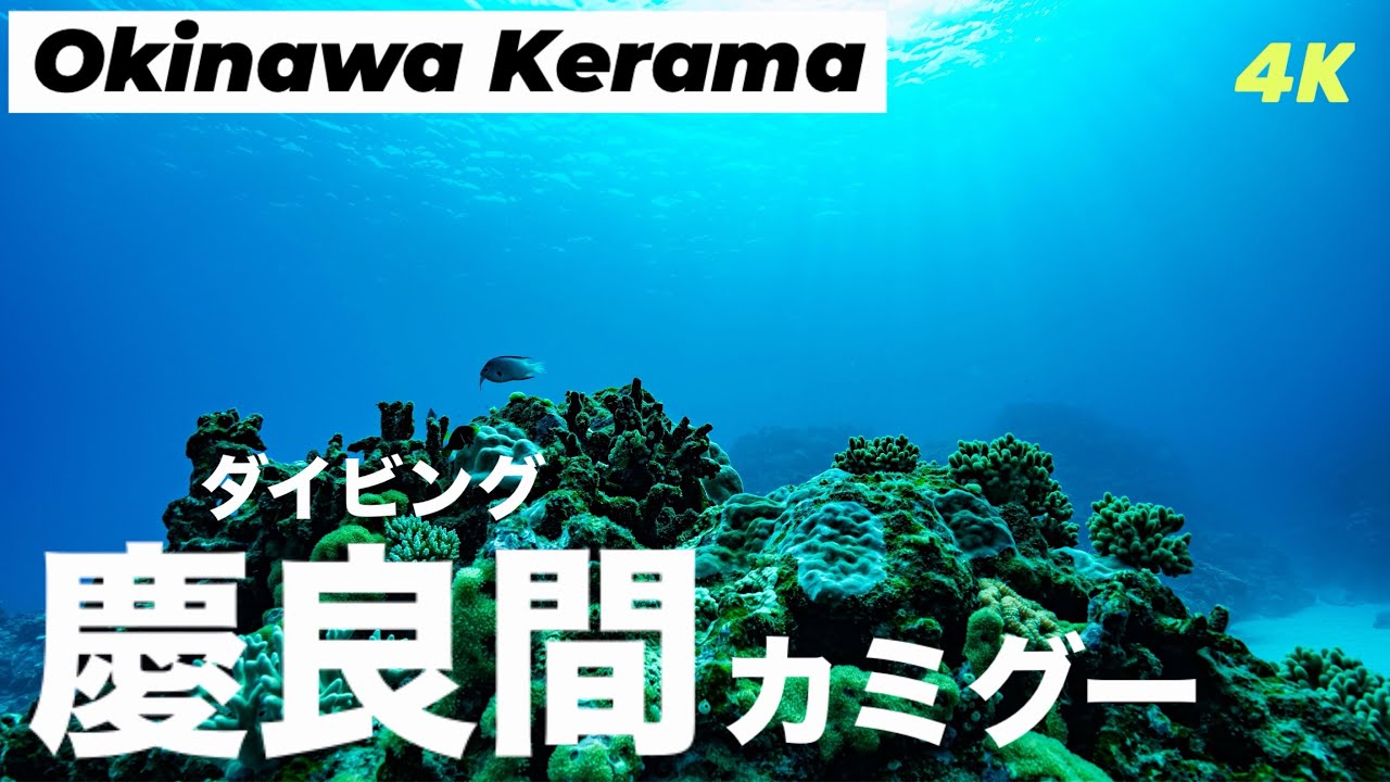 沖縄・慶良間ダイビングVlog｜カミグーの砂地と魚の群れに癒される　[4K] Okinawa Kerama Diving Vlog