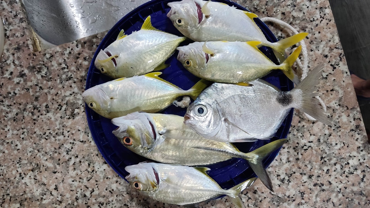 Palipat-lipat ng pwesto may swerte din | Medium light fishing 🎣