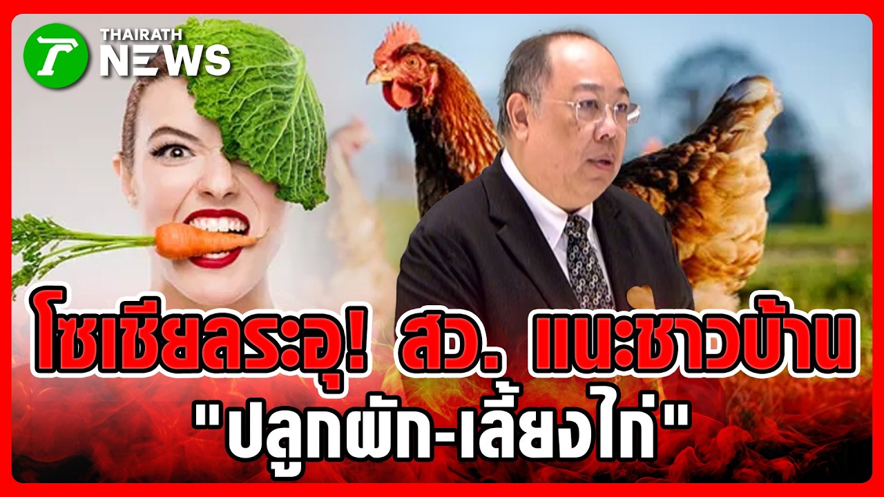 โซเชียลระอุ! สว. แนะชาวบ้าน 'ปลูกผัก-เลี้ยงไก่' ฝ่าวิกฤติพลังงาน | 24 มี.ค. 69 | ข่าวเช้าหัวเขียว