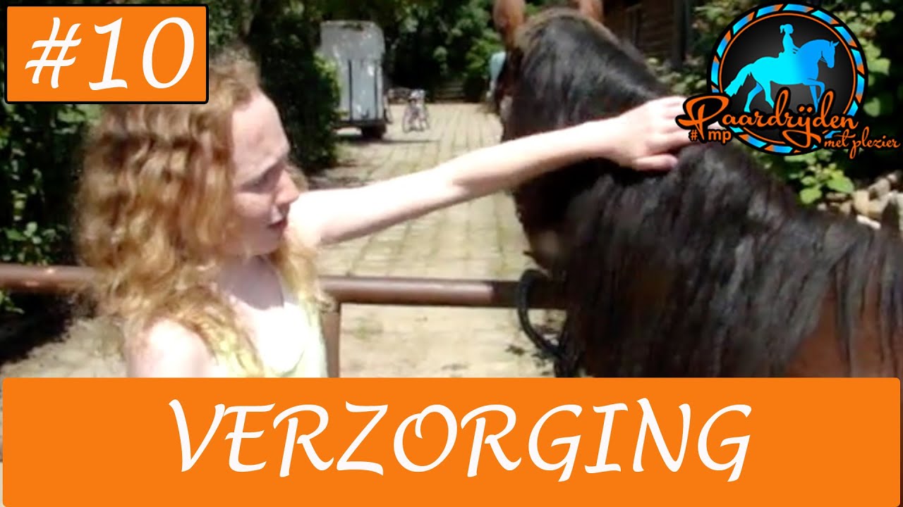 Paardrijden - Verzorging van je paard of pony