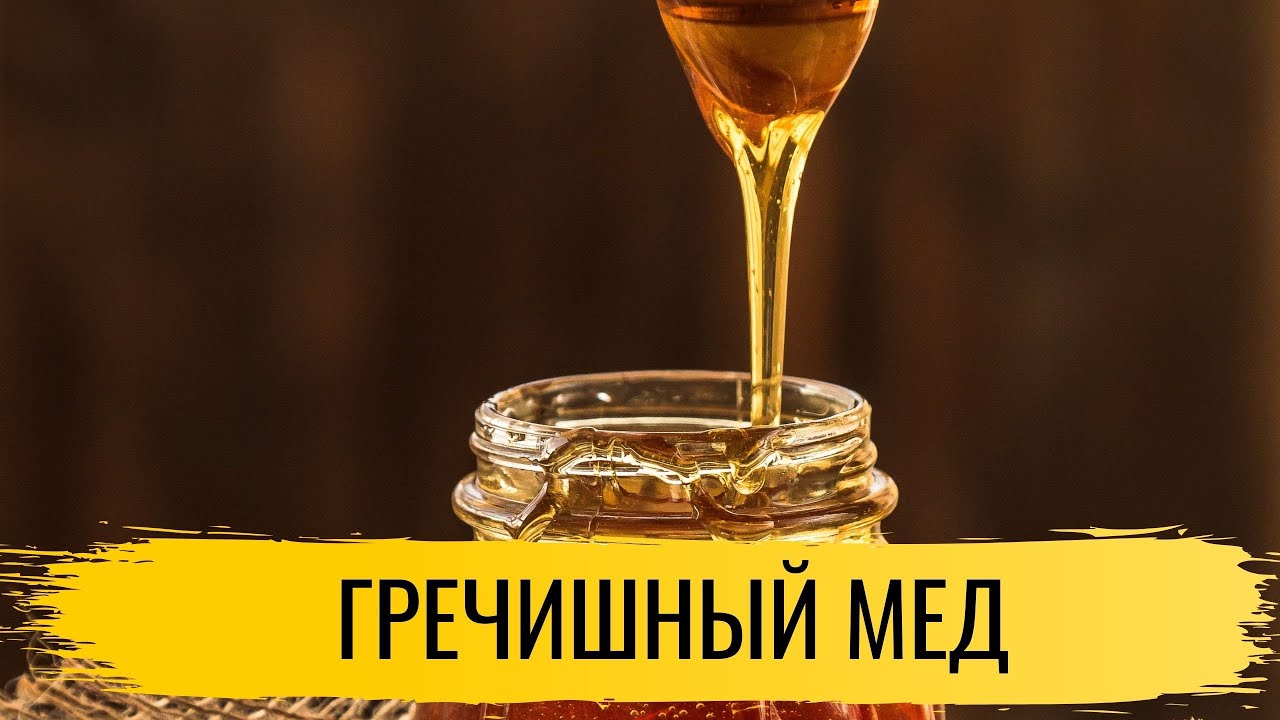 Мед. Гречишный мед