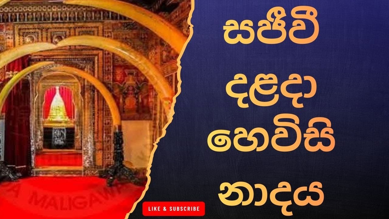 දළදා මාලිගාවේ සවස් තේවා හේවිසි – හදවත පිරිසිදු කරන නාදය 🎵 SIRI DALADA THEWA HEVISI NADAYA
