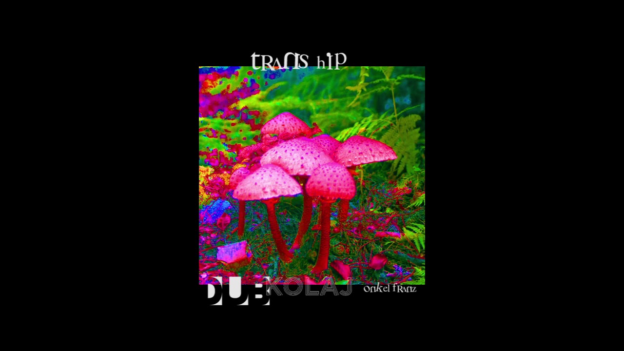 trans hip - o. franz