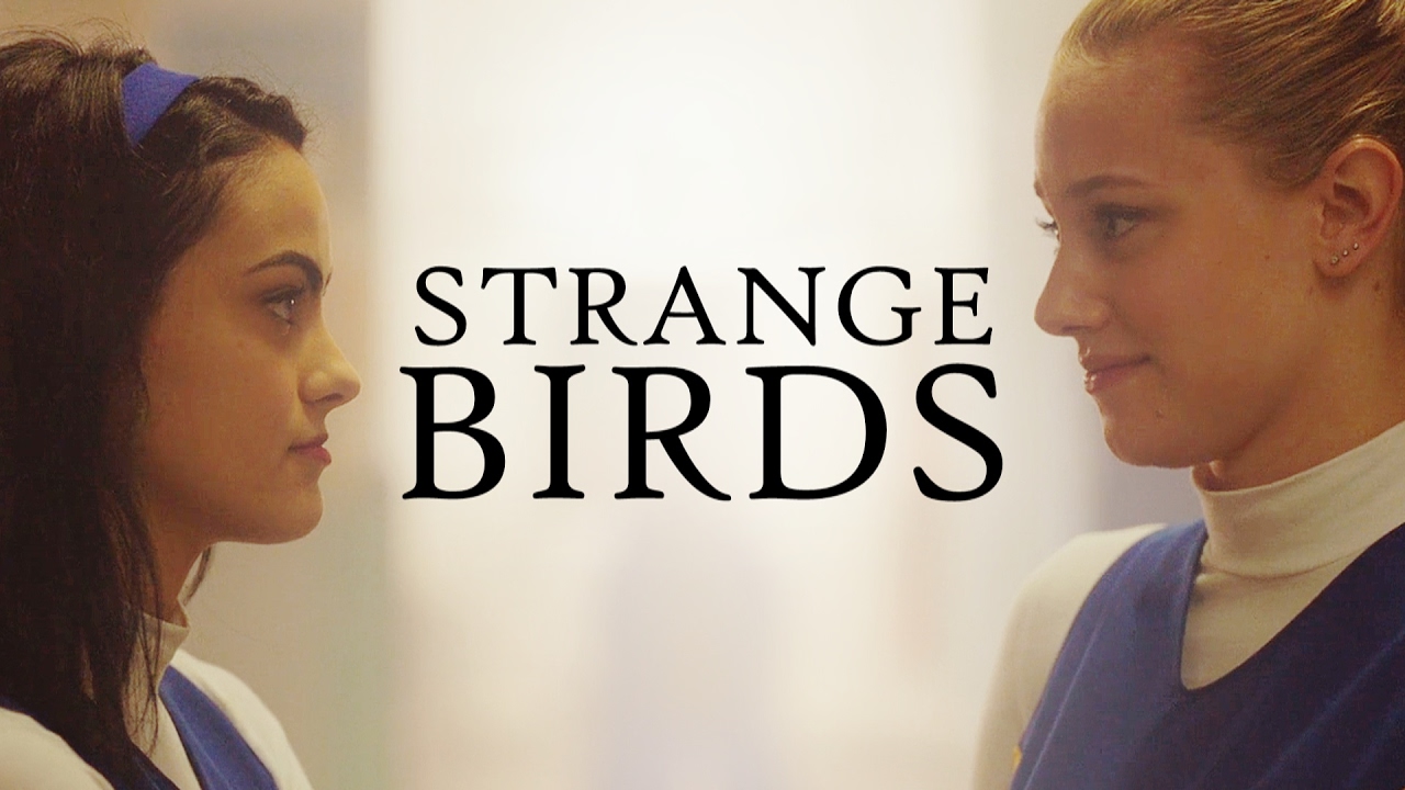 Strange Birds - {Betty & Veronica}