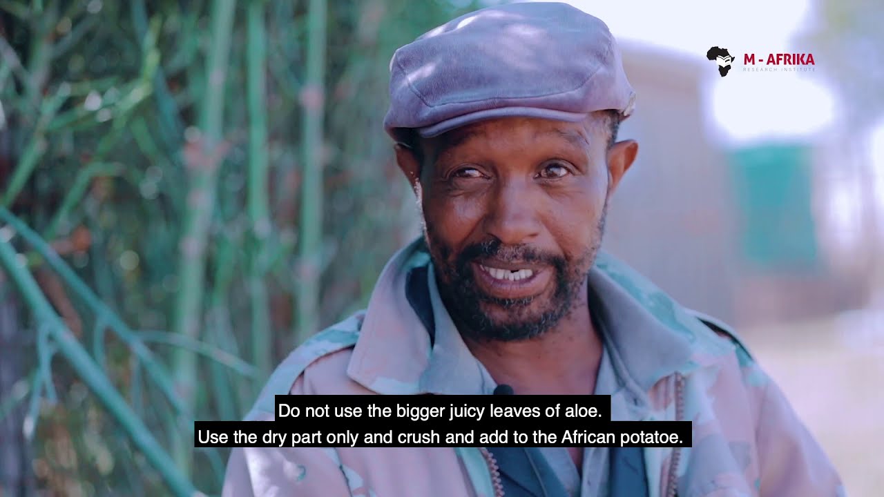 Dr. Andile M-Afrika - Zemk'iinkomo magwalandini