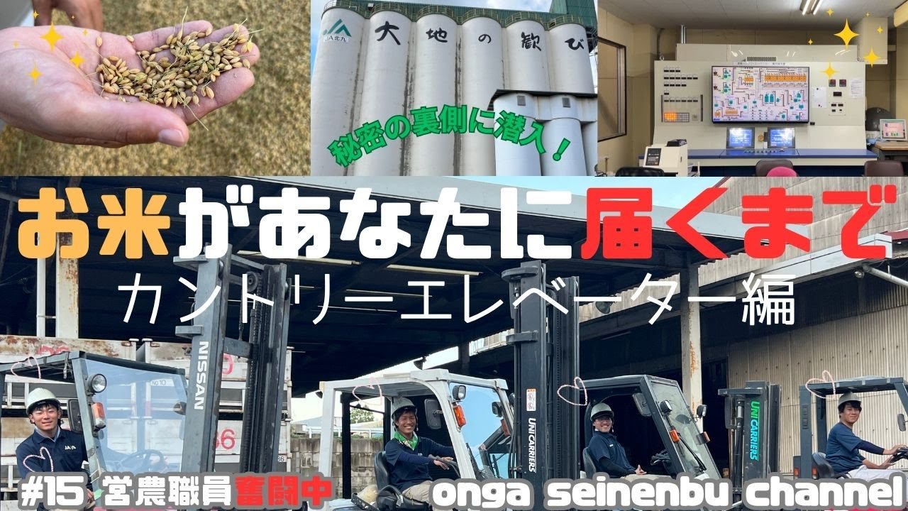 お米があなたに届くまで　カントリーエレベーター編　前編　収穫したお米の行方は？お米が消費者のかたに届くまでを追っていくお米シリーズ第一弾です！＃JA北九＃カントリーエレベーター＃JA青年部
