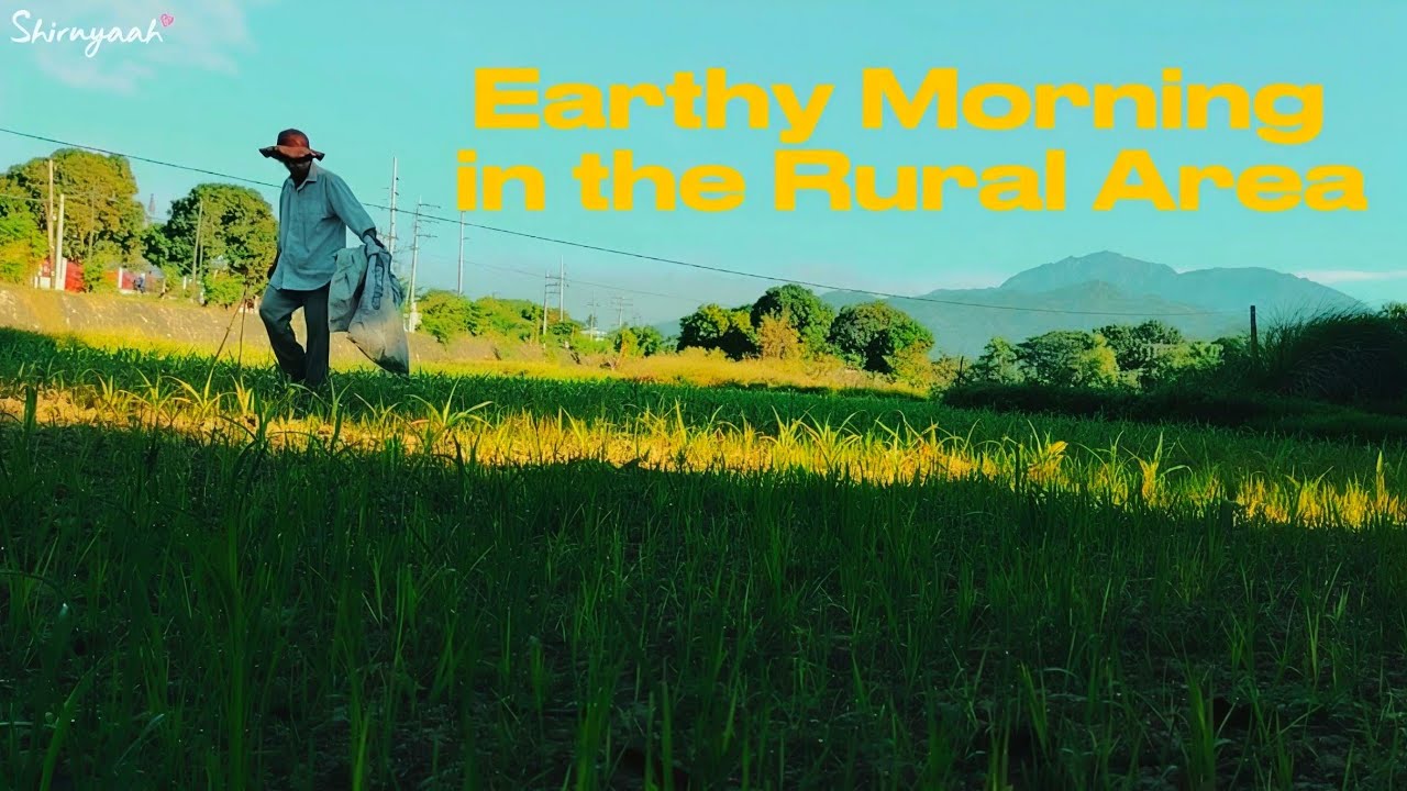 A day on the Farm | Silent Vlog 🌿🌾