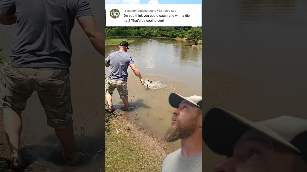 Can I catch a fish with a dip net