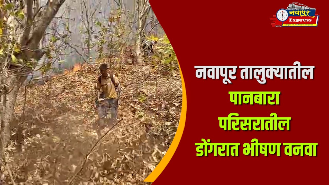 नवापूर तालुक्यातील पानबारा परिसरातील डोंगरात भीषण वनवा