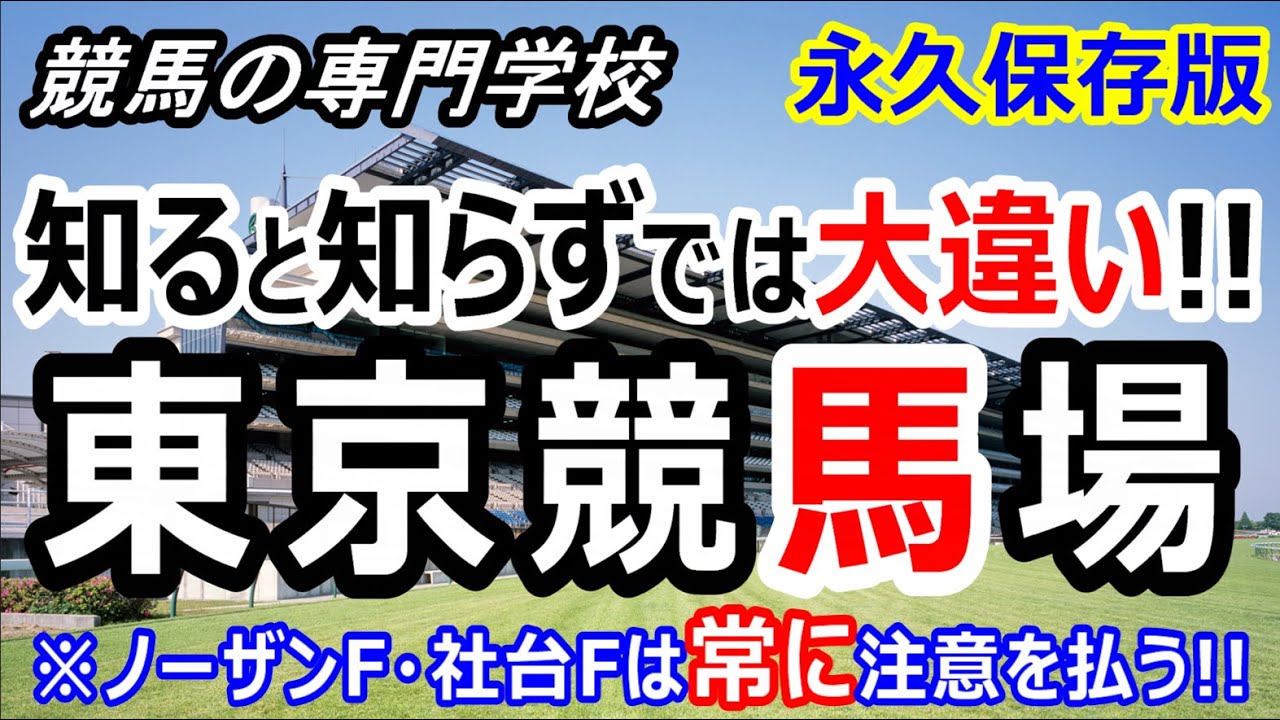 【競馬】東京競馬場の攻略ポイント 初心者の方は特に必見【競馬の専門学校】